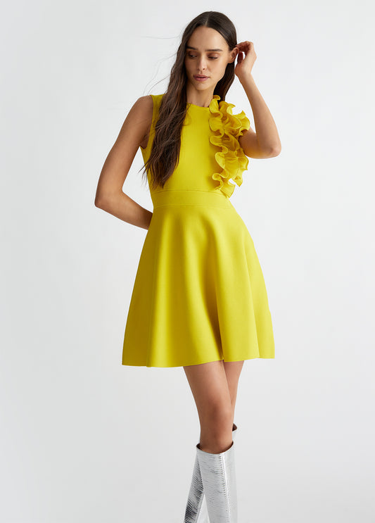 CF4388MA96EX0617XS-citron