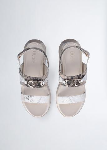 BA5081EX289S360441-brown