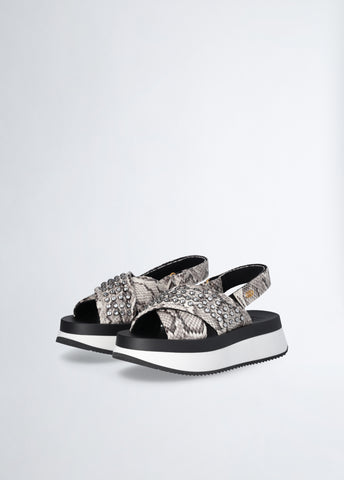 BA5089EX308S305235-python print
