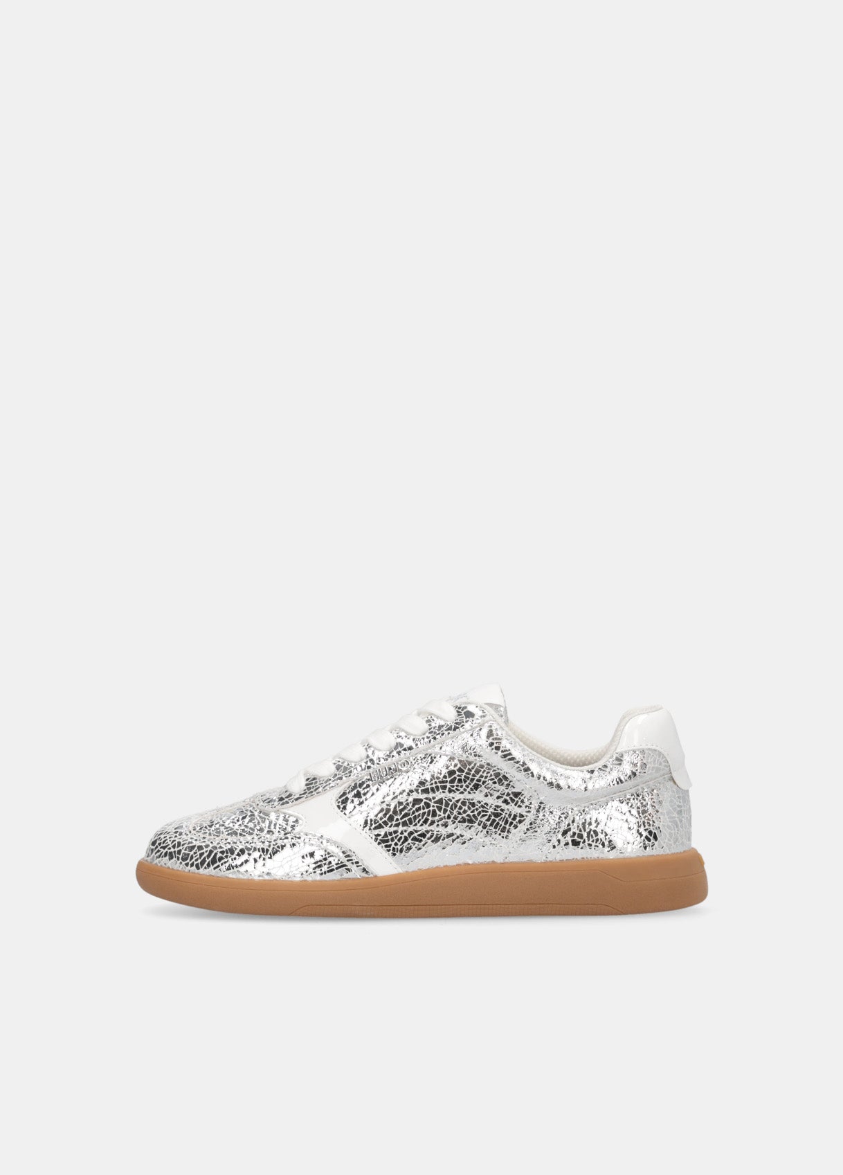 BF5069PX006S10S835-silver
