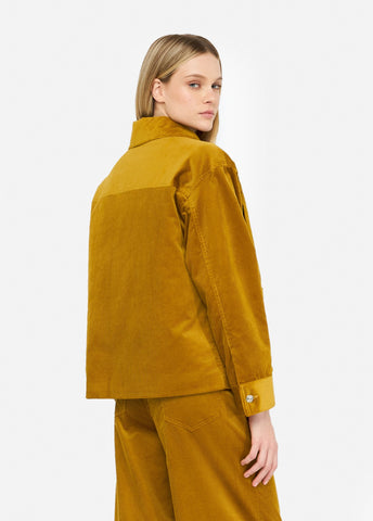 MF5155T192AX073438-cumin