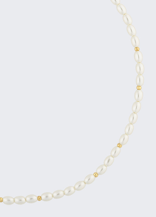 XA5ADZA000199999T.U.-gold