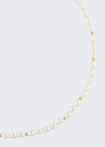 XA5ADZA000199999T.U.-gold
